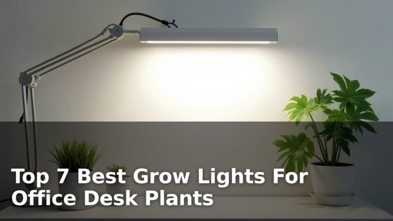 Top 7 Best Grow Lights For Office Desk Plants