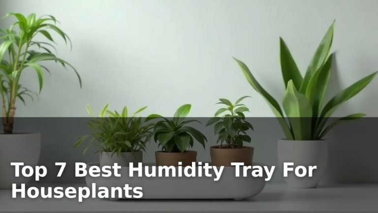 Top 7 Best Humidity Tray For Houseplants