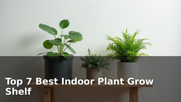 Top 7 Best Indoor Plant Grow Shelf