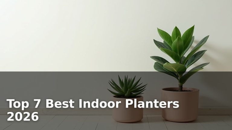 Top 7 Best Indoor Planters 2026