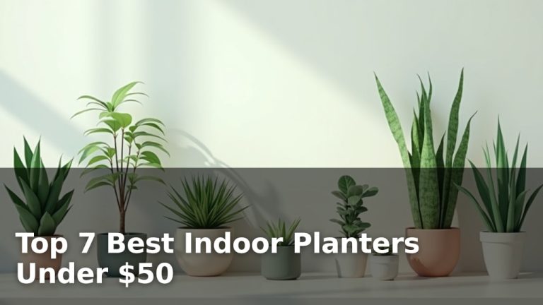 Top 7 Best Indoor Planters Under $50