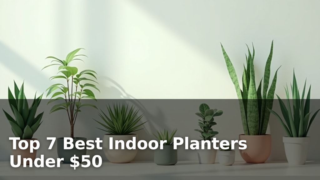 Top 7 Best Indoor Planters Under $50