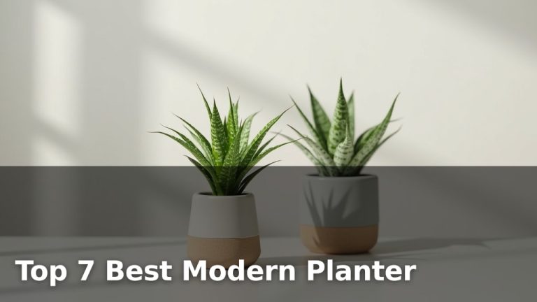 Top 7 Best Modern Planter