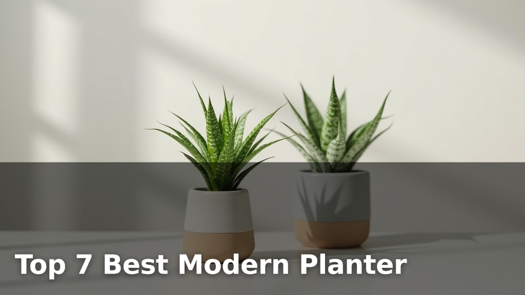 Top 7 Best Modern Planter