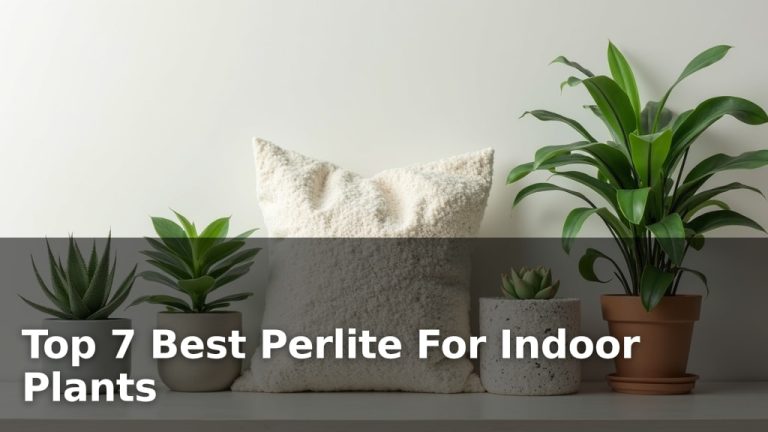 Top 7 Best Perlite For Indoor Plants