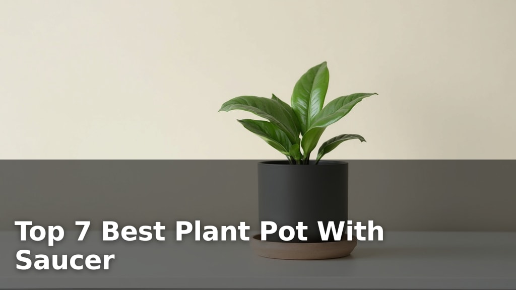 Top 7 Best Plant Pot With Saucer