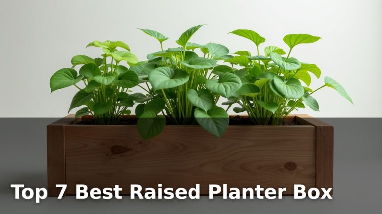 Top 7 Best Raised Planter Box