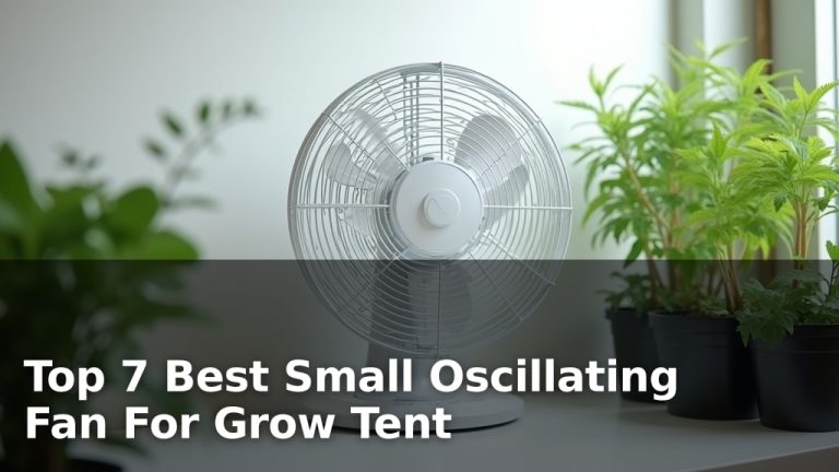Top 7 Best Small Oscillating Fan For Grow Tent