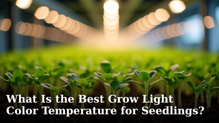 What Is the Best Grow Light Color Temperature for Seedlings?